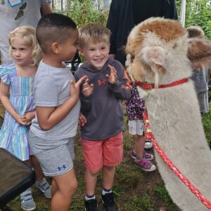 A group of kids wait excitedly to pet an alpaca