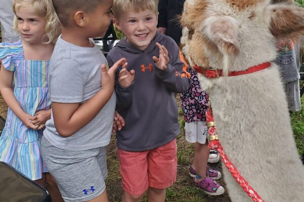 A group of kids wait excitedly to pet an alpaca